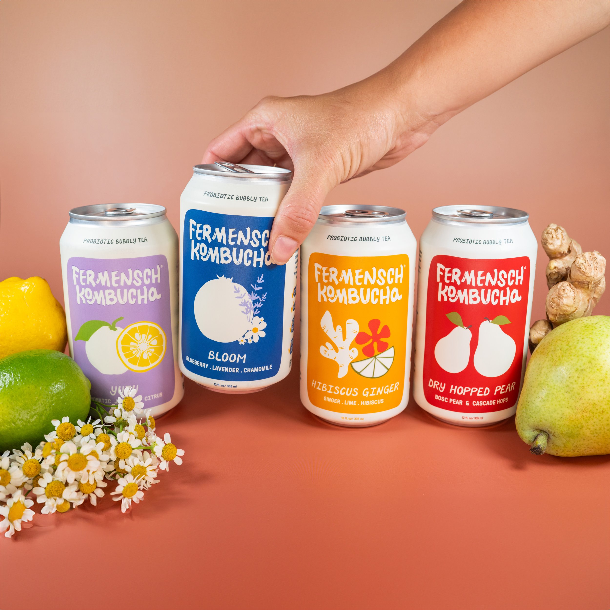 Build Your Own 12 Pack — Fermensch Kombucha